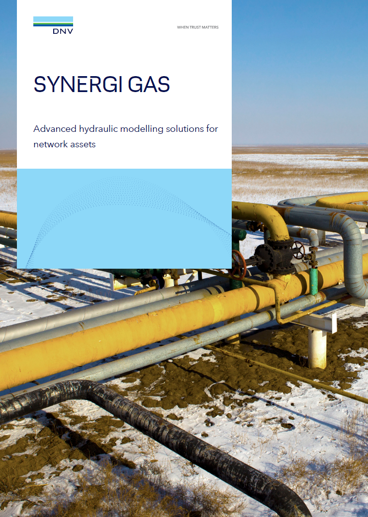 Synergi Gas brochure