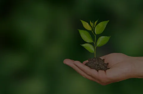 Auditor Interno de ISO 14001:2015