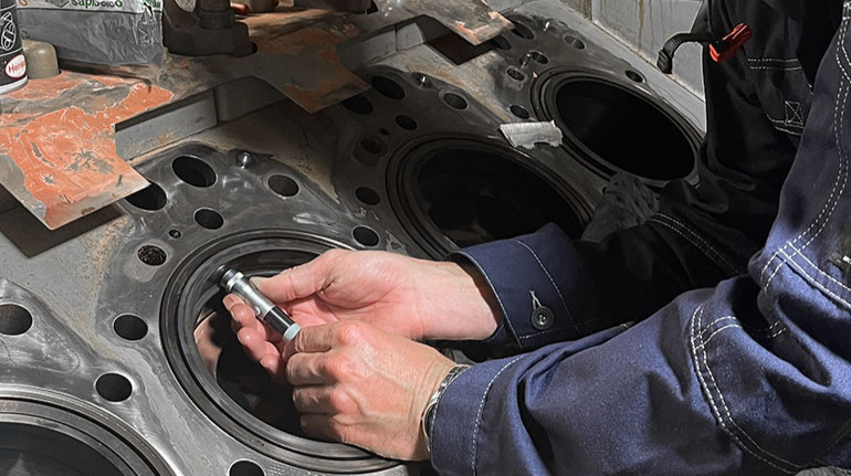 Technical inspection dnv