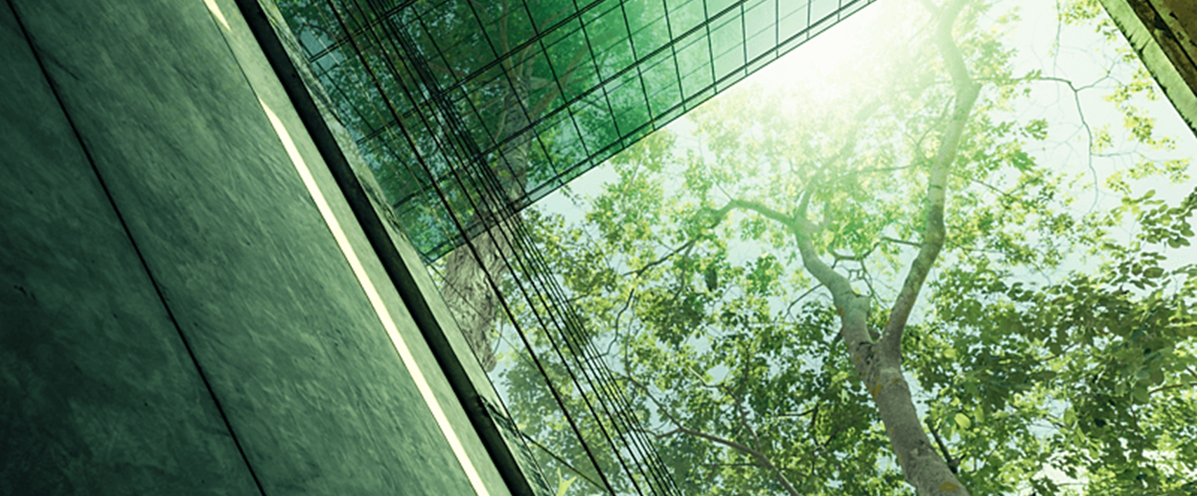 生态友好型建筑