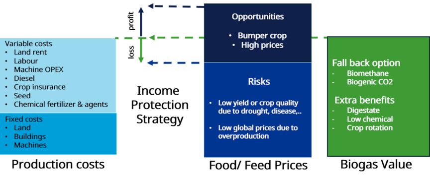 Figure 1. Illustration of the proposed income protection strategy