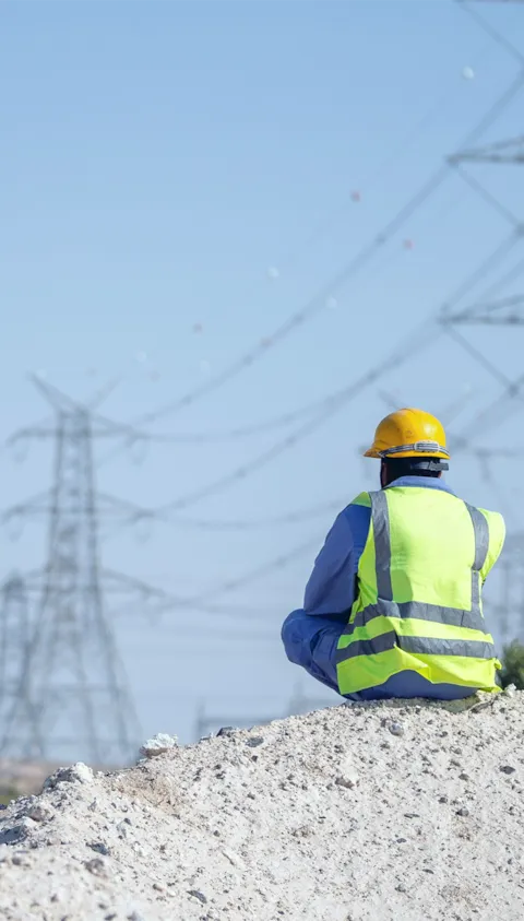Surveyors on solar plant