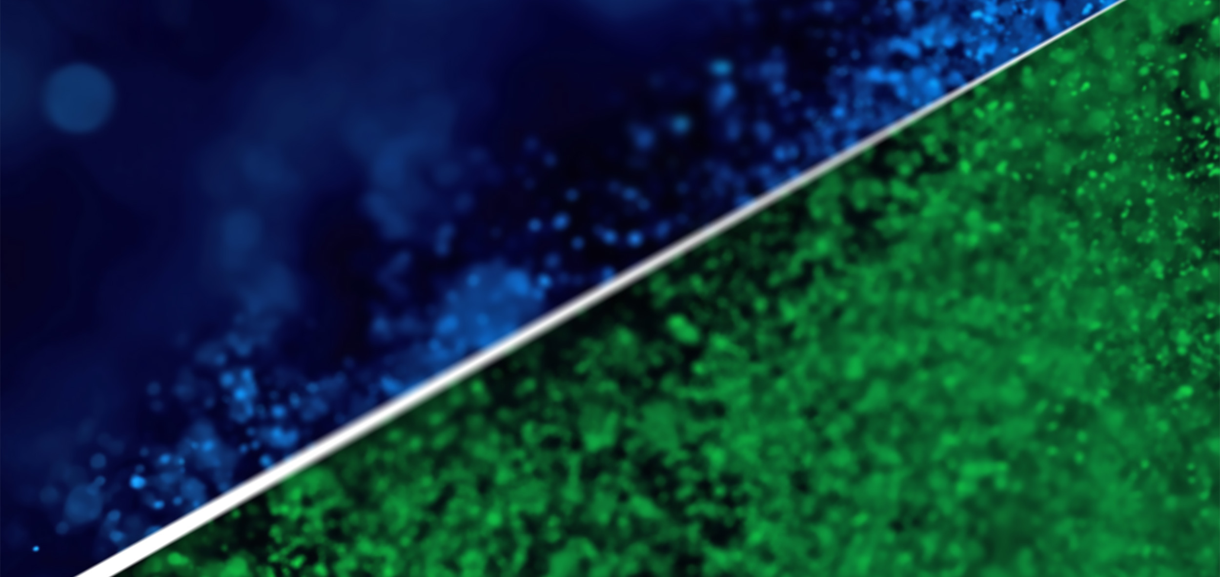 Maritime Energy Transition Summit 2026