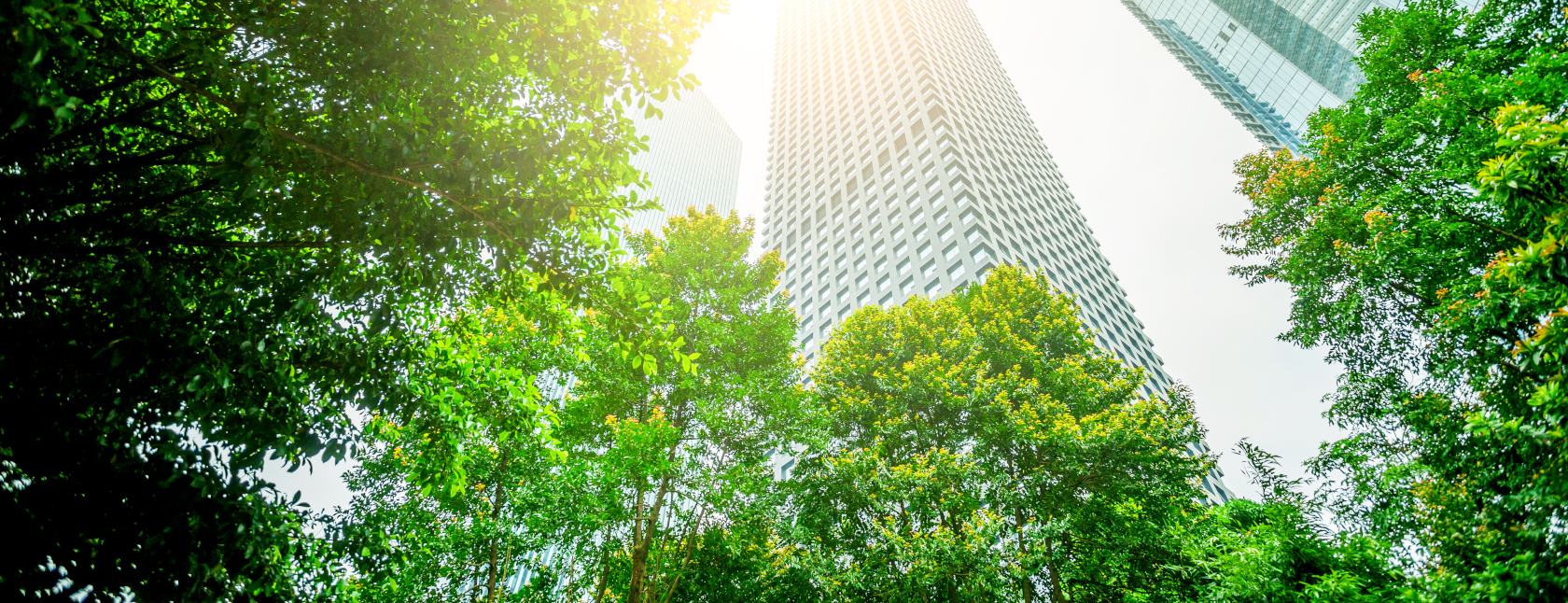 Working towards the future of Energy