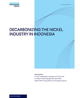 Decarbonizing the Nickel Industry in Indonesia