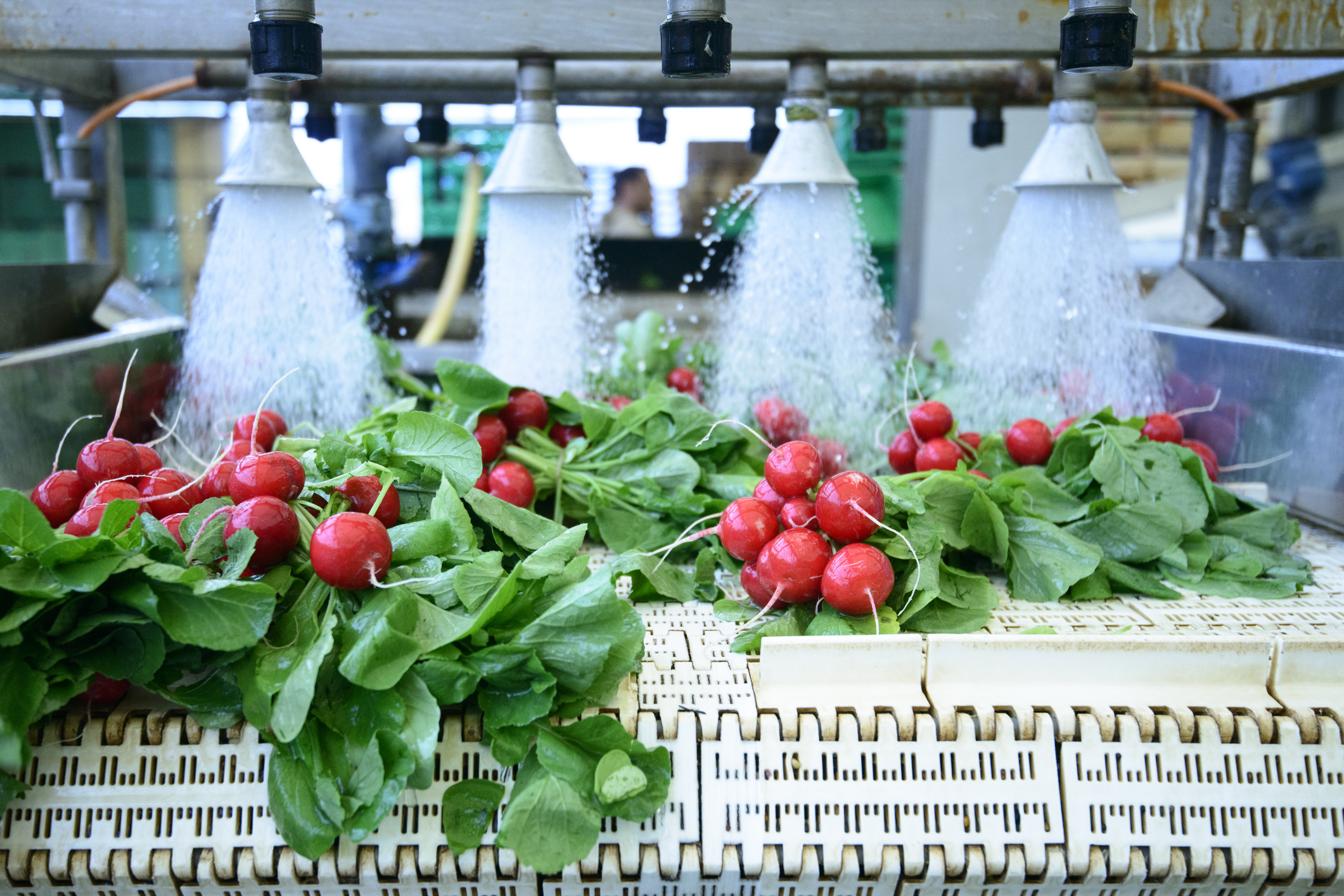 Industrial hoses washing food