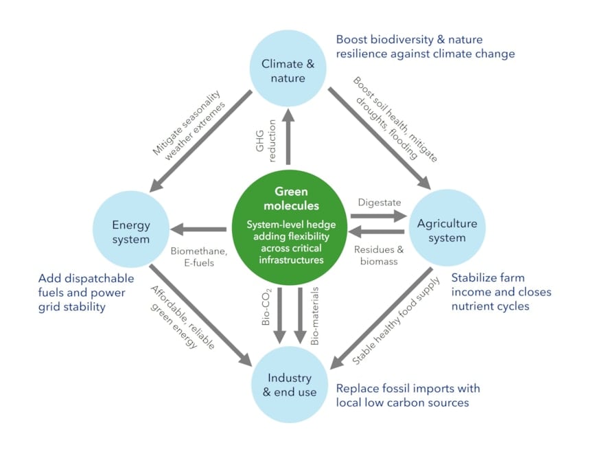 Illustration on the envisioned green molecules hedging strategy: a network of flexible digesters turn all available agriculture biomass, manure, residues, multi-purpose break crops etc. into green molecules (biomethane and biogenic CO2)
