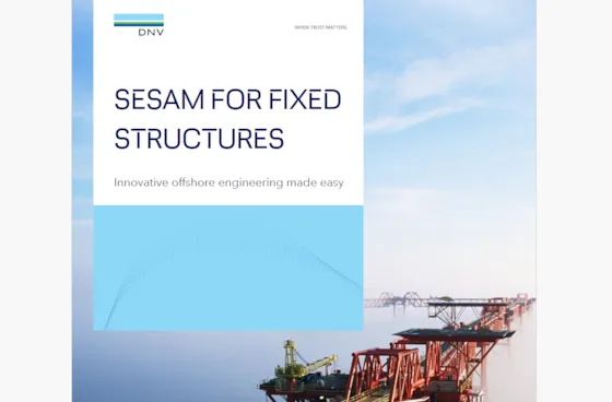 Cesam Software Interface Conceptual modelling of offshore and maritime structures | GeniE