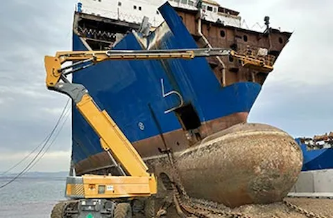 Download the full article