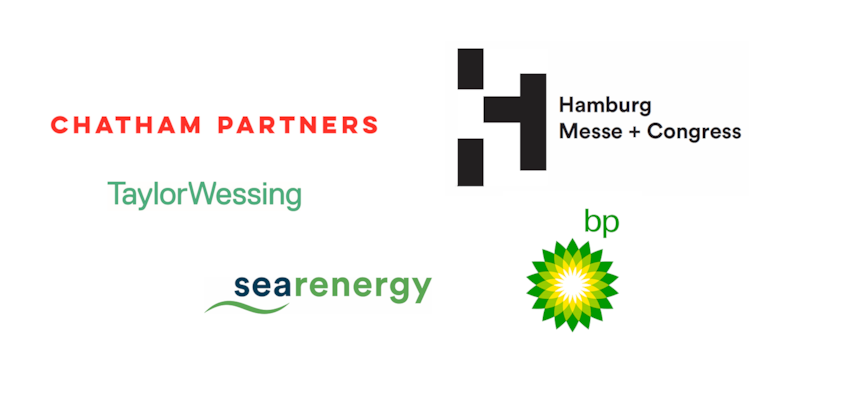 Hamburg Offshore Wind 2024 - Partner logos