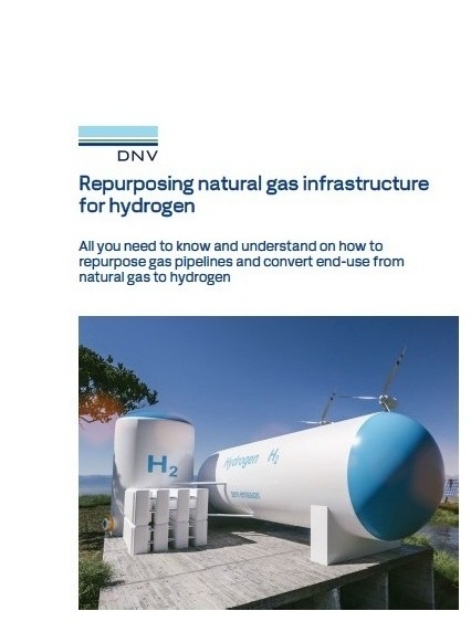 Repurposing natural gas infrastructure for hydrogen training course (Syllabus)