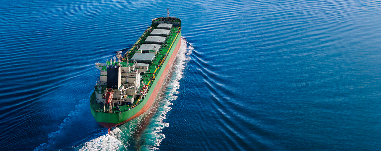 NET-ZERO GUIDE: Practical approaches for global shipping companies