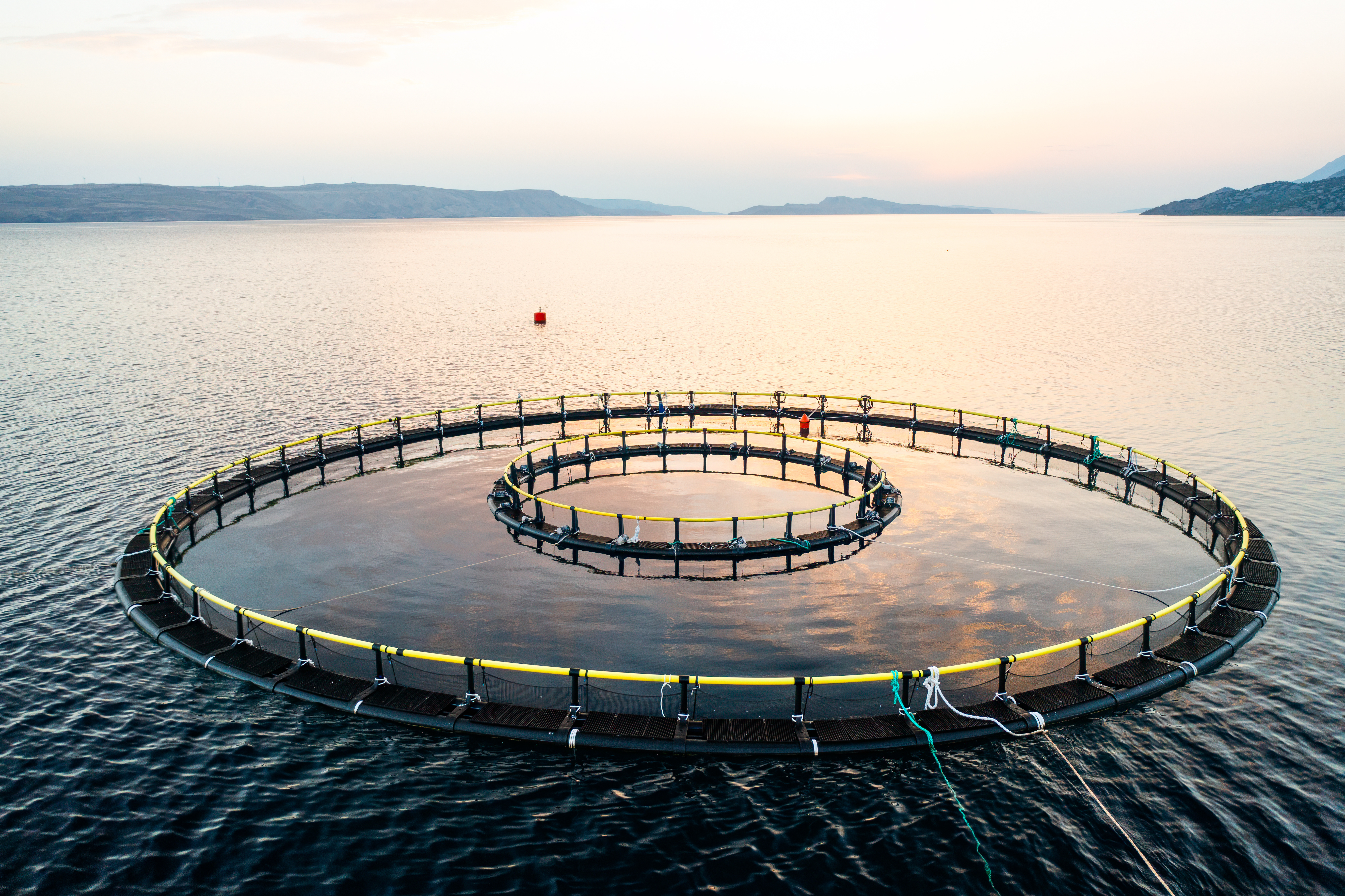 Aerial view of a circular marine aquaculture installation used for habitat and ecological assessment