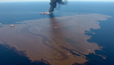 BP Deepwater Horizon oil spill