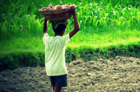 Think Risk: The intersection of human rights, capital, and renewable energy