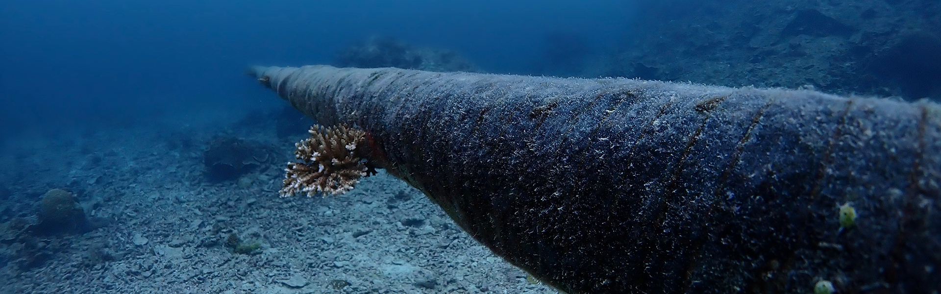 Offshore pipeline
