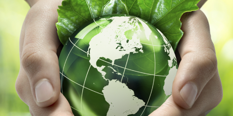 Hands holding a green globe