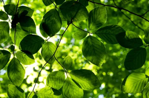 ISO 14001:2015 Kraven för eLearning kurser