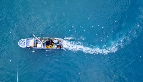 MSC 渔业标准认证