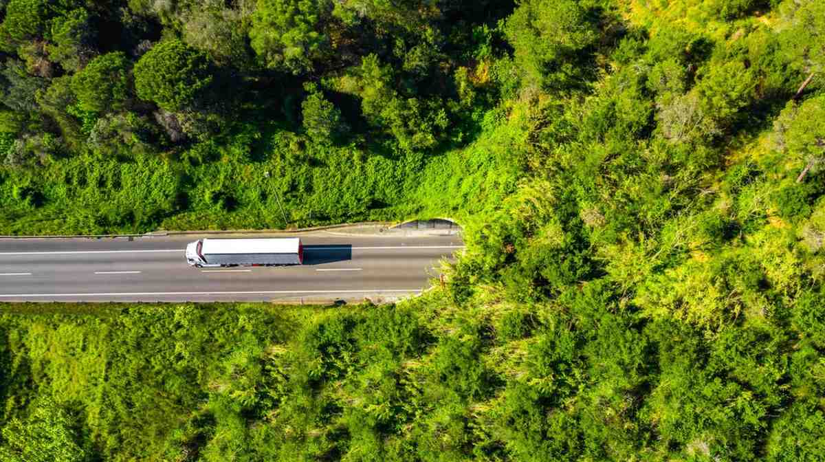 Green corridor with vegetation and a semi-truck