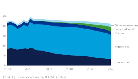 NEE Fig1-web.webp
