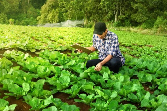 La confianza pasa de las marcas a los productos