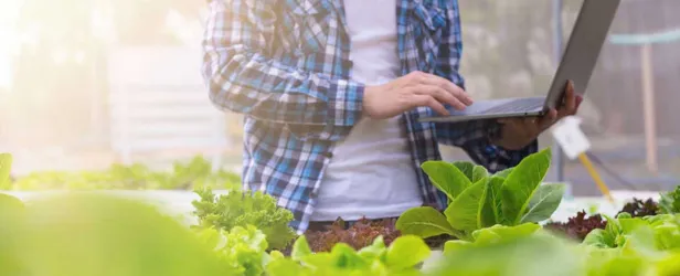 Seguridad de la información y ciberseguridad