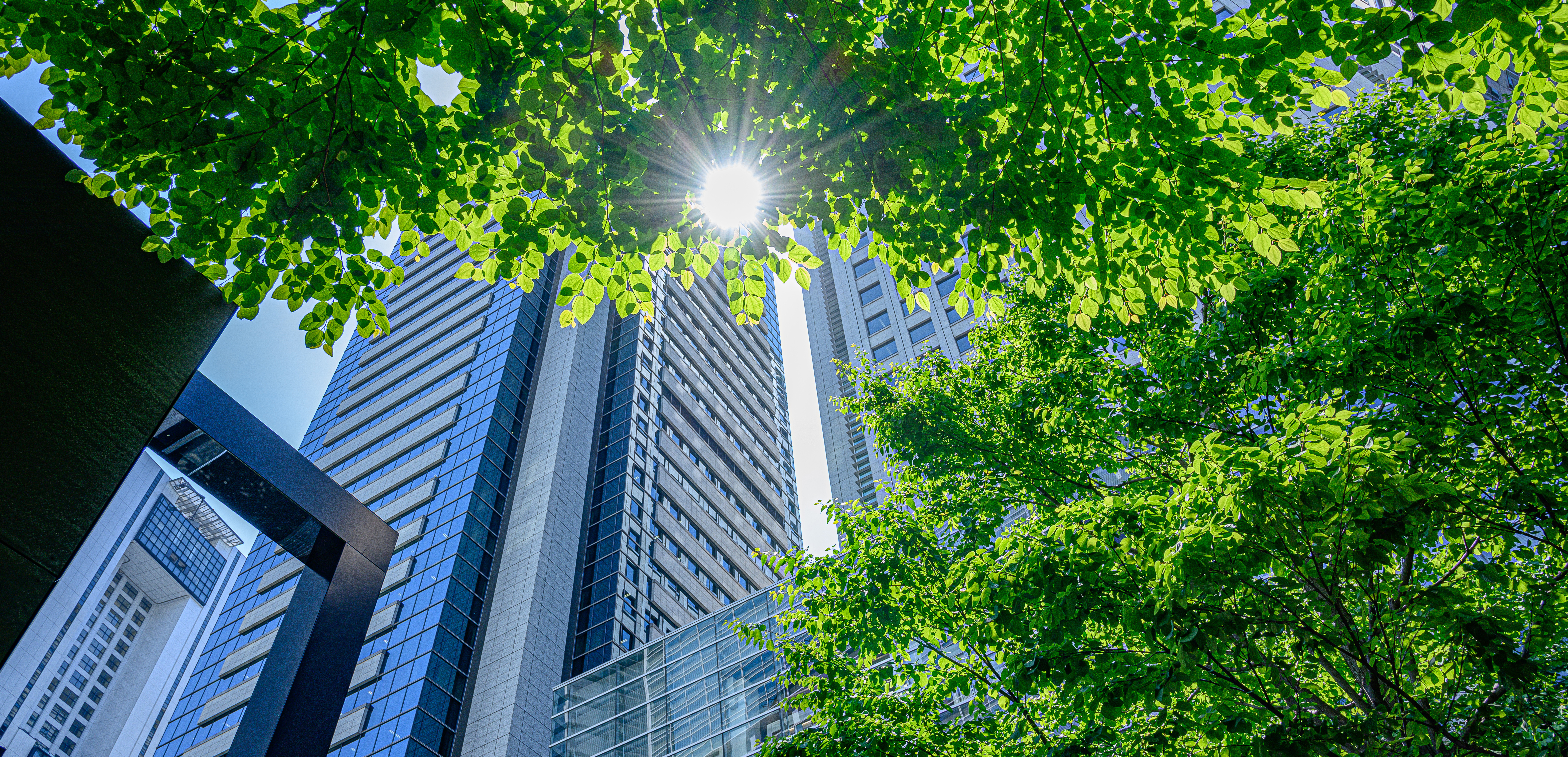 Navigating CSRD reporting: Transforming compliance into business growth with Science-based metrics