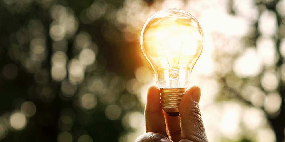 Electric grid and reliability and performance software training