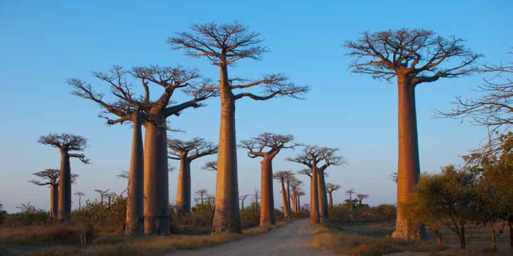 DNV GL in Eastern Africa - projects