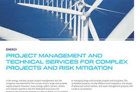 Project management