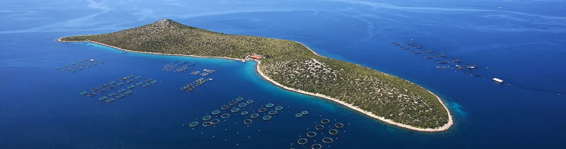 Cromaris first aquaculture farm jointly certified to Friend of the Sea and GLOBALG.A.P. 