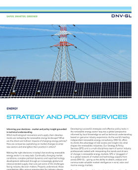 Strategy and policy services