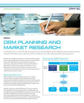 DSM Planning and Market Research