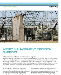 Asset management decision support