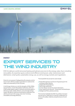 Expert services to the wind industry brochure
