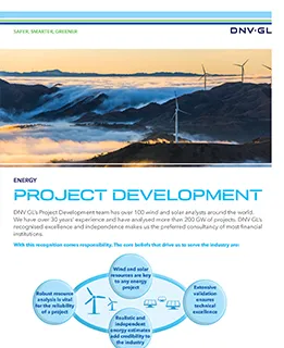 Project Development flyer