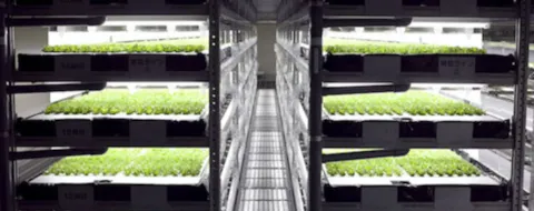 Science Reality – Growing Food Without the Sun