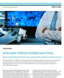 Power Price Forecasting - vision paper