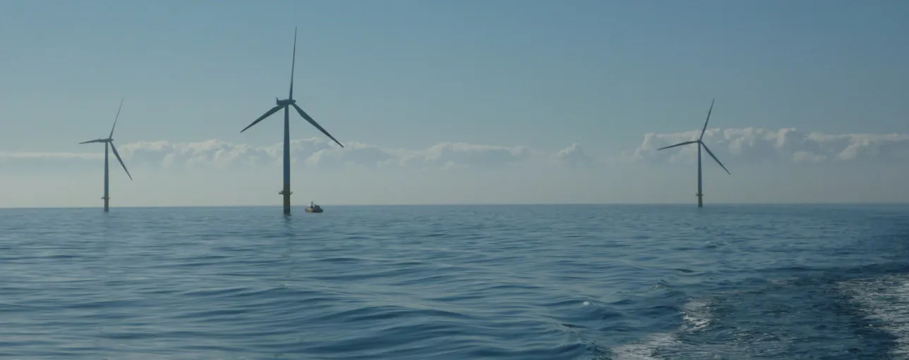 Promising forecast for global offshore wind