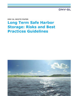 Long term safe harbor storage white paper