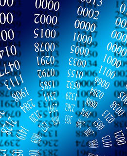 The role of the data scientist