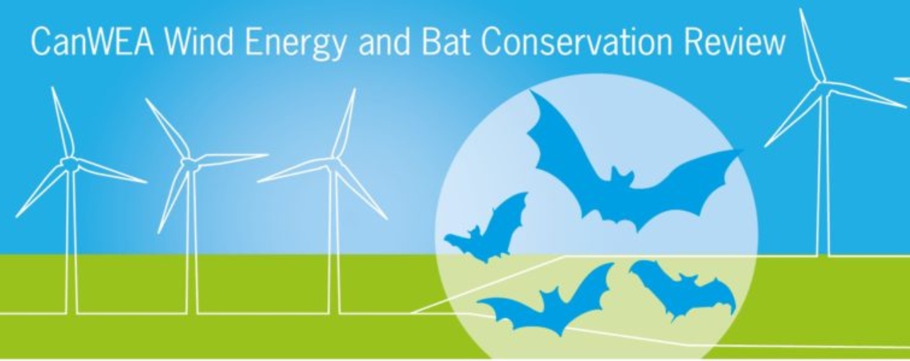 CanWEA Wind Energy and Bat Conservation Review