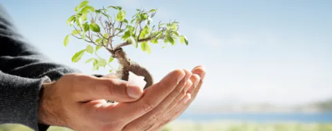 How human behaviour can impact energy efficiency