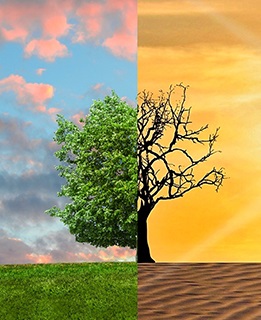 New energies and unparalleled transformation