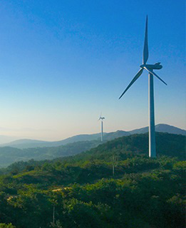 From niche to mainstream: wind is winning