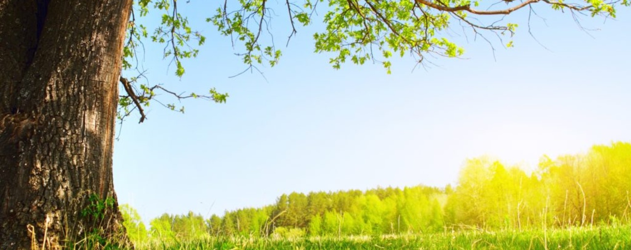 AESP Spring Conference: What’s on the menu for energy efficiency