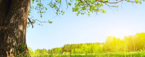 AESP Spring Conference: What’s on the menu for energy efficiency