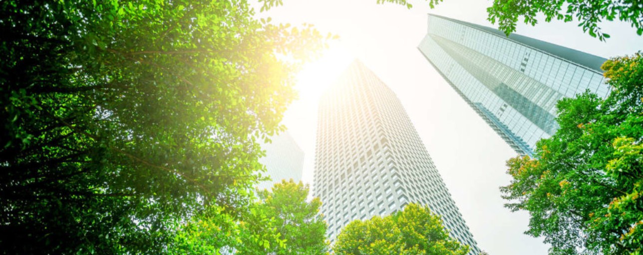 Robust green power deals crucial to energy transition