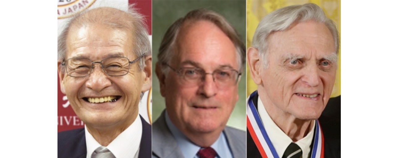 Energy storage industry heroes win Nobel Prize for work on lithium-ion batteries